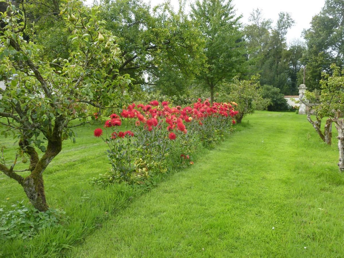 Florimont - Vaste gîte à la ferme Villers-Châtel Esterno foto